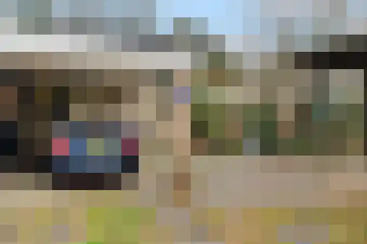 Heckningecamp 35 Emmen thumbnail 27