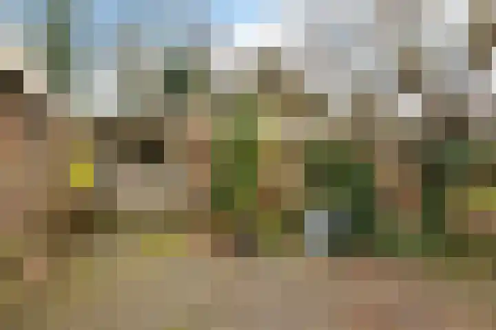 Heckningecamp 35 Emmen thumbnail 28