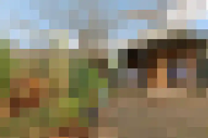 Heckningecamp 35 Emmen thumbnail 29