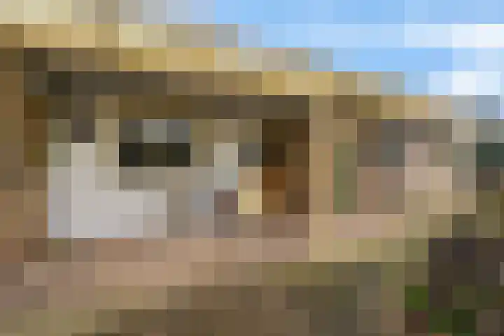 Heckningecamp 35 Emmen thumbnail 30