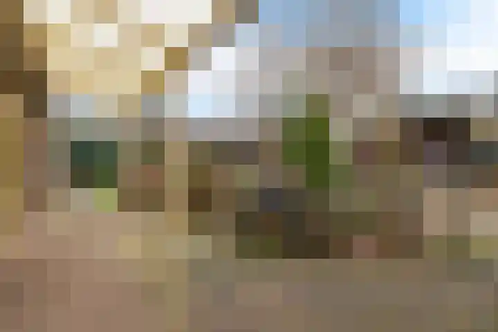 Heckningecamp 35 Emmen thumbnail 31