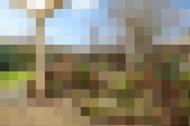 Heckningecamp 35 Emmen thumbnail 32