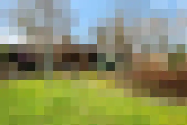 Heckningecamp 35 Emmen thumbnail 33