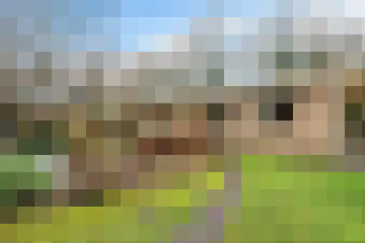 Heckningecamp 35 Emmen thumbnail 34