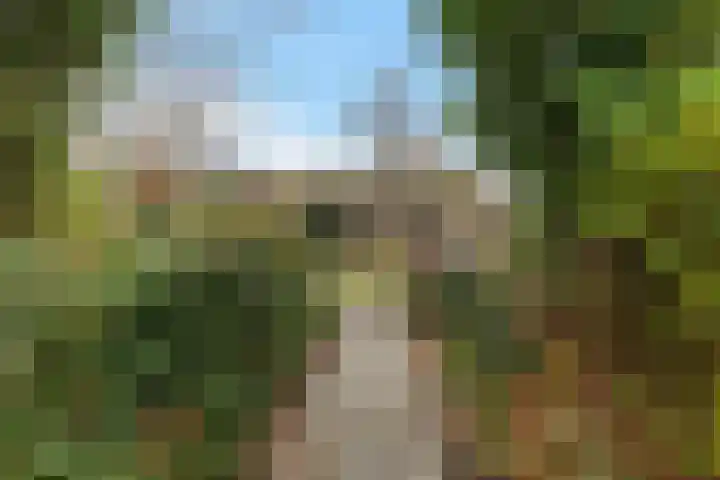 Heckningecamp 35 Emmen thumbnail 4