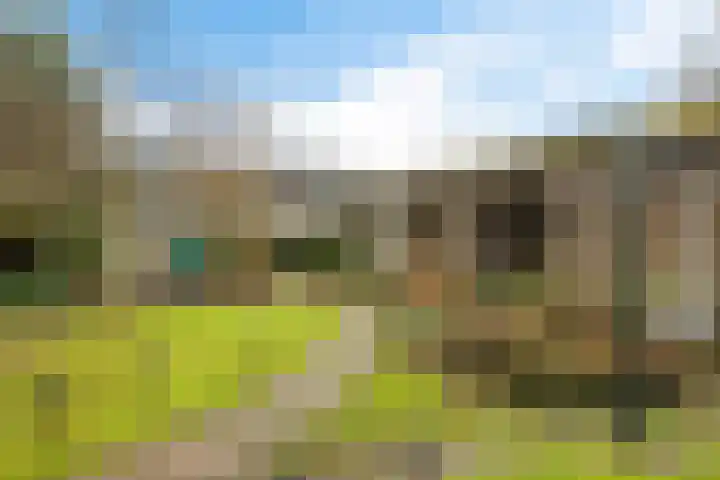 Heckningecamp 35 Emmen thumbnail 5