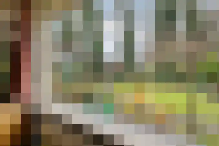 Heckningecamp 35 Emmen thumbnail 7