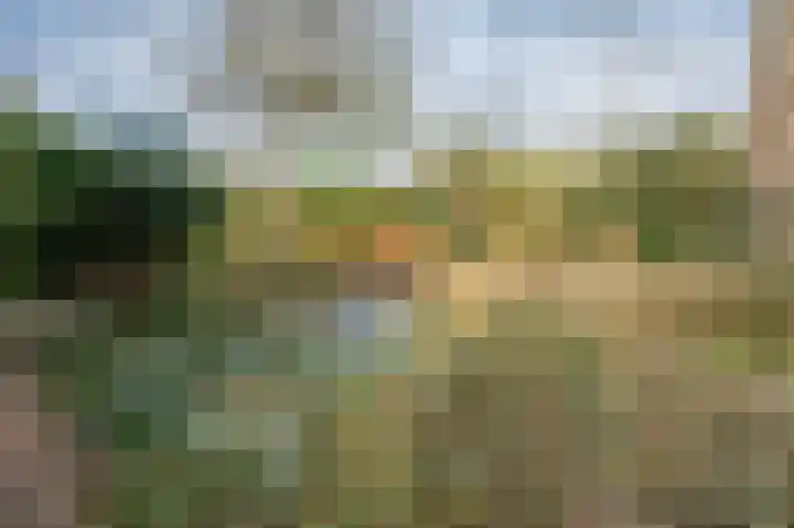 Heckningecamp 37 Emmen thumbnail 23