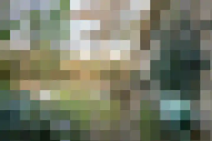 Heckningecamp 37 Emmen thumbnail 24