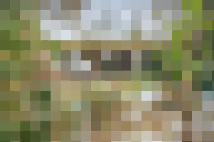 Heckningecamp 37 Emmen thumbnail 25