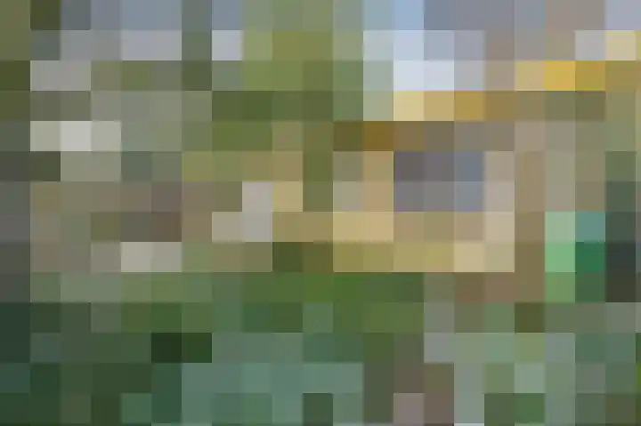 Heckningecamp 37 Emmen thumbnail 26