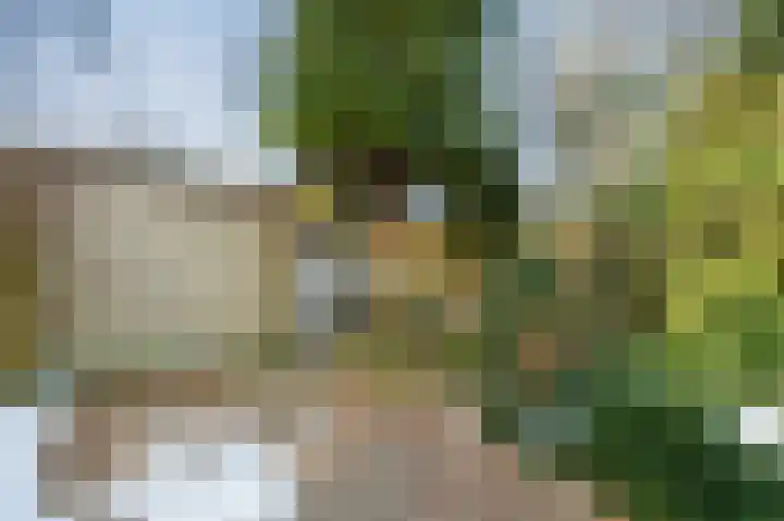 Heckningecamp 37 Emmen thumbnail 28
