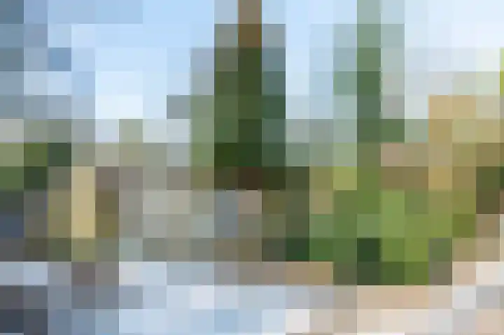 Heckningecamp 37 Emmen thumbnail 29