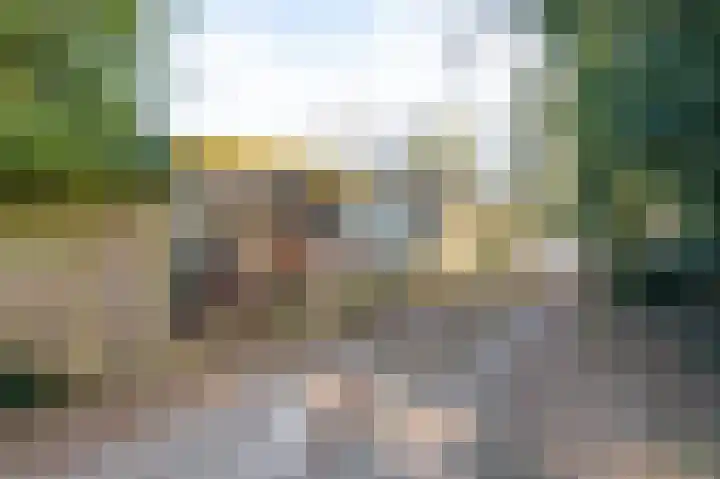 Heckningecamp 37 Emmen thumbnail 30
