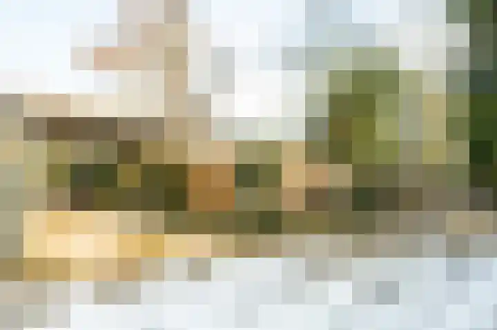 Heckningecamp 37 Emmen thumbnail 31