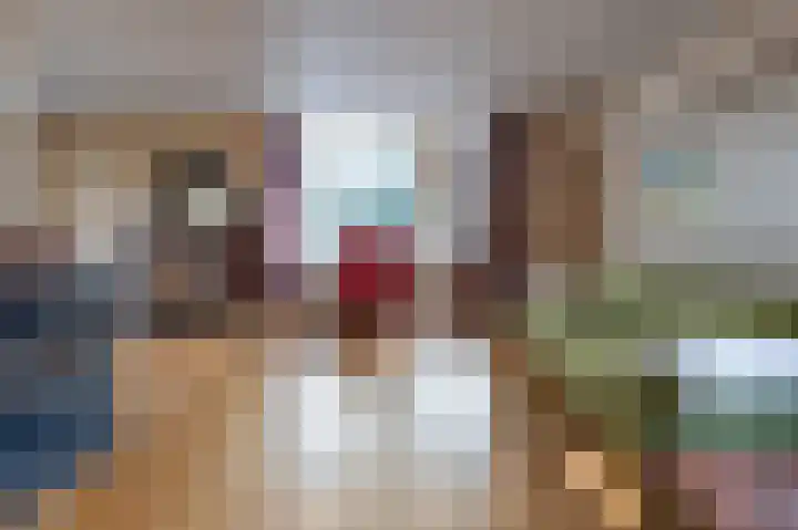 Heckningecamp 37 Emmen thumbnail 6