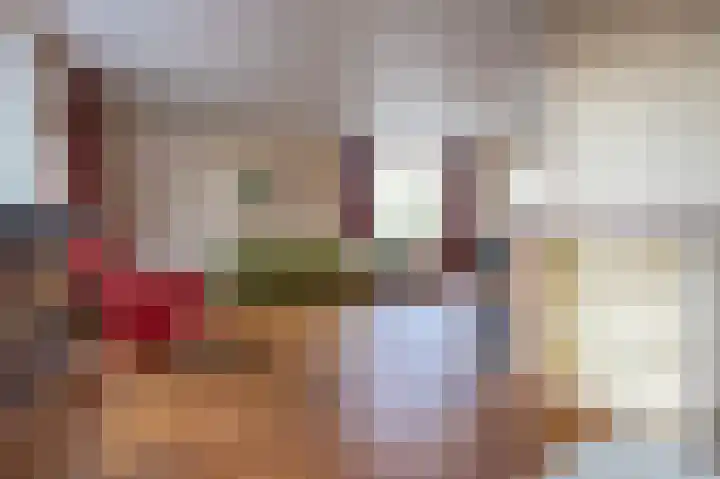 Heckningecamp 37 Emmen thumbnail 8