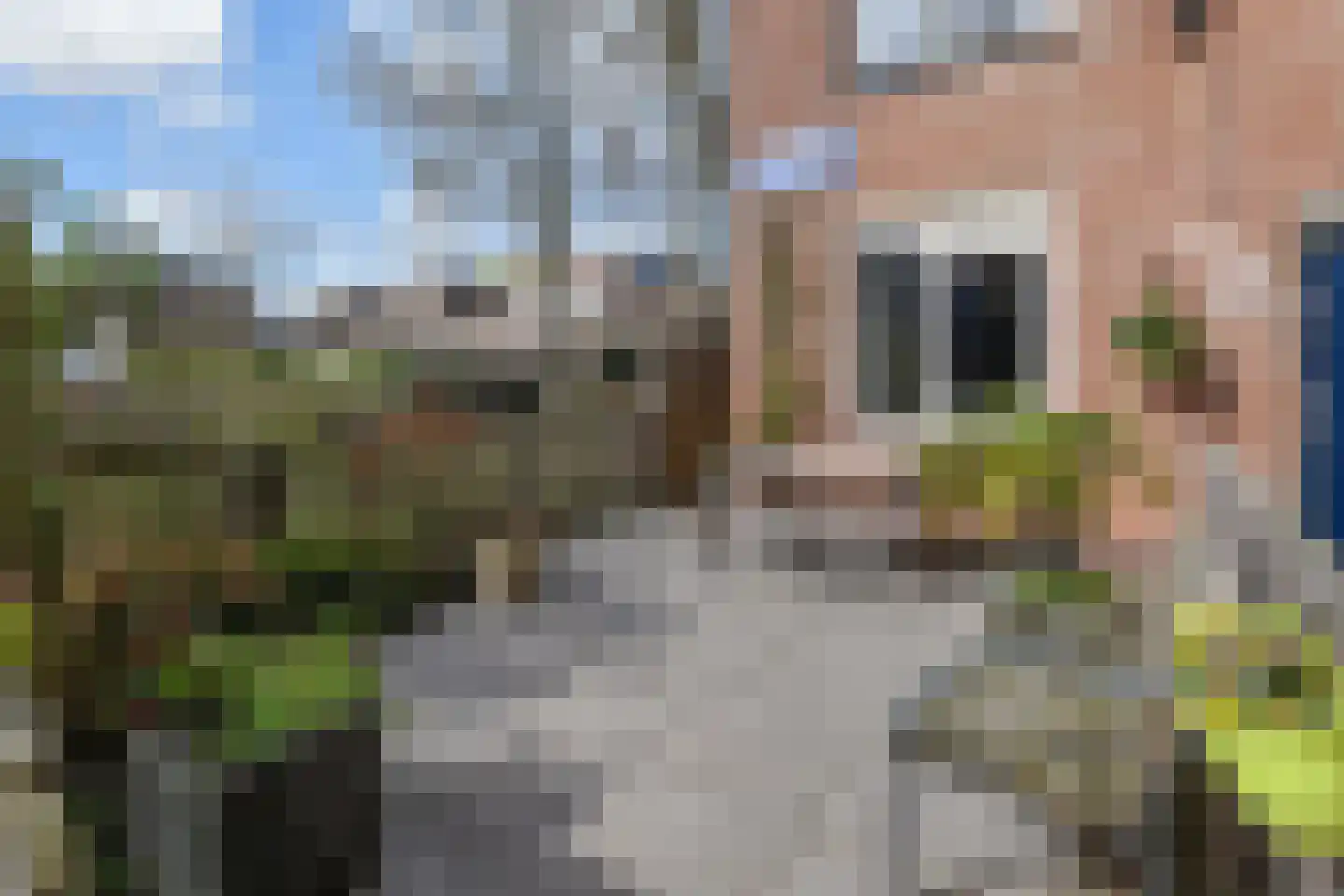 Hector Berliozstraat 136 Den Haag thumbnail 6