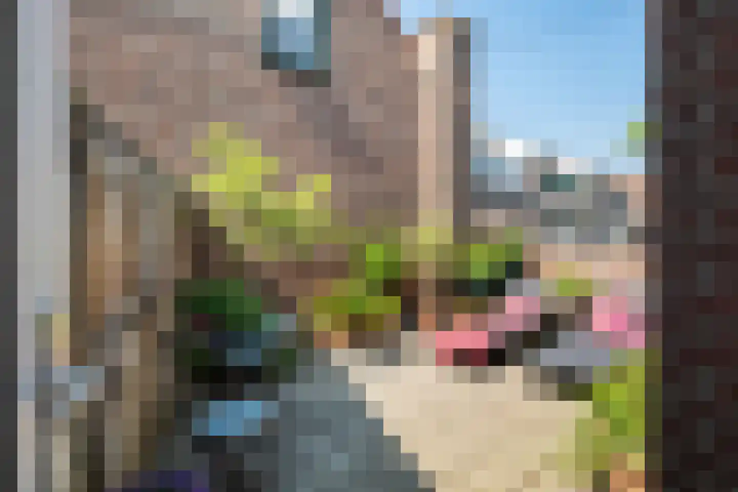 Hector Berliozstraat 54 Den Haag thumbnail 10