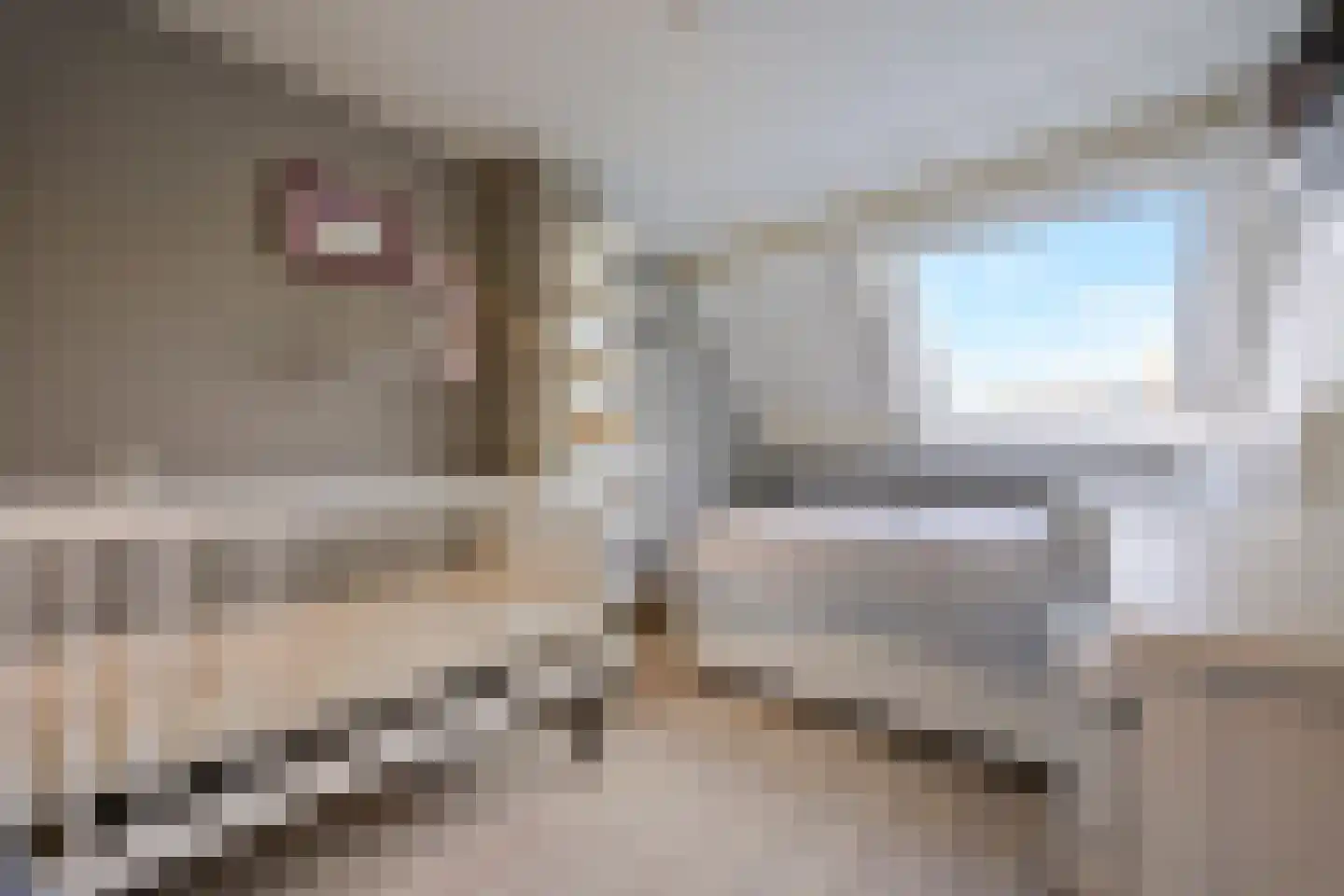 Hector Berliozstraat 92 Den Haag thumbnail 17