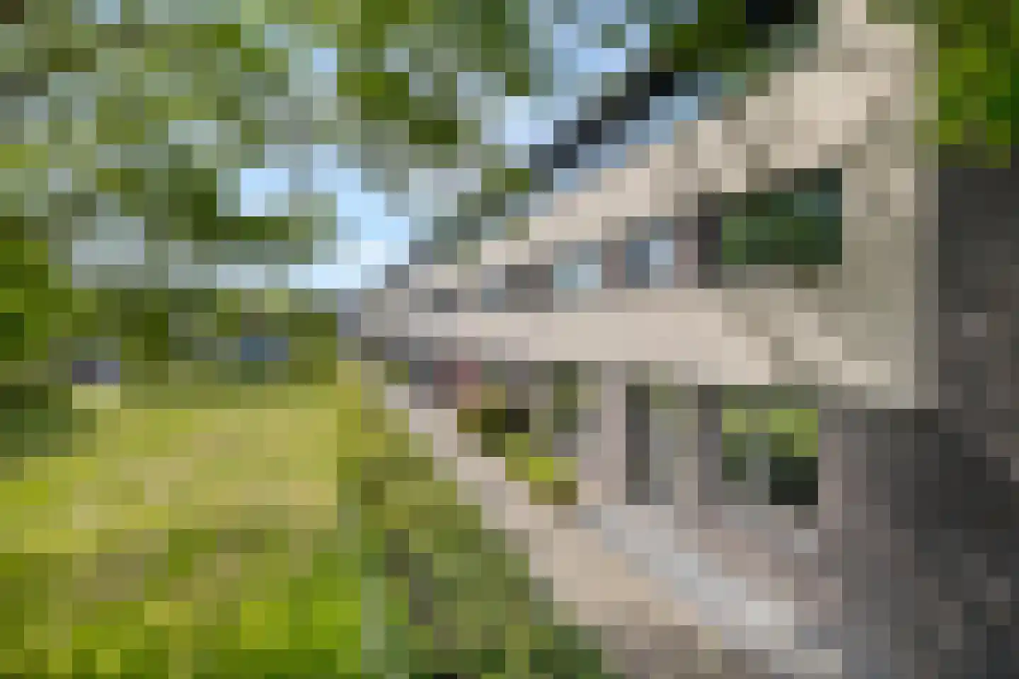 Hector Malotweg 34 Woerden thumbnail 4