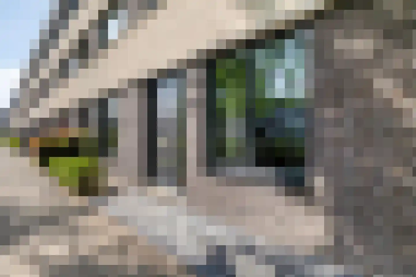 Hector Malotweg 34 Woerden thumbnail 6