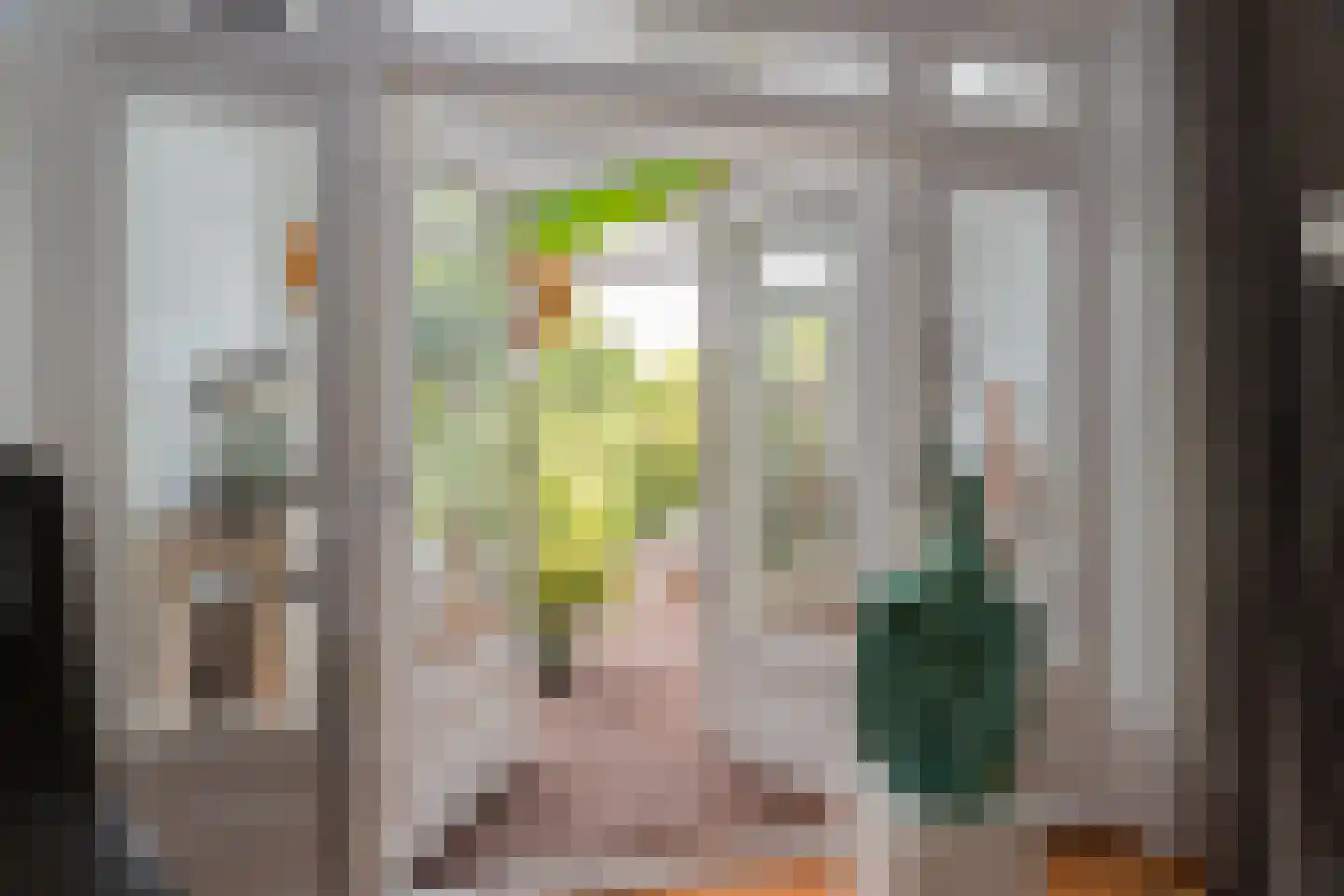 Hector Treubstraat 19 Bussum thumbnail 12