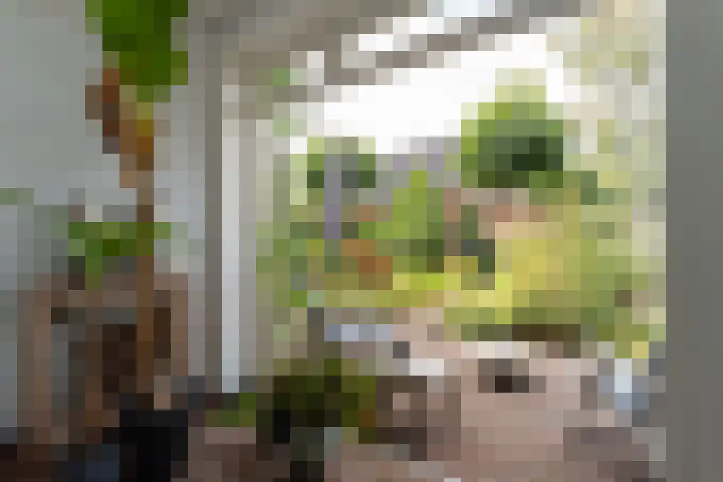 Hector Treubstraat 19 Bussum thumbnail 13