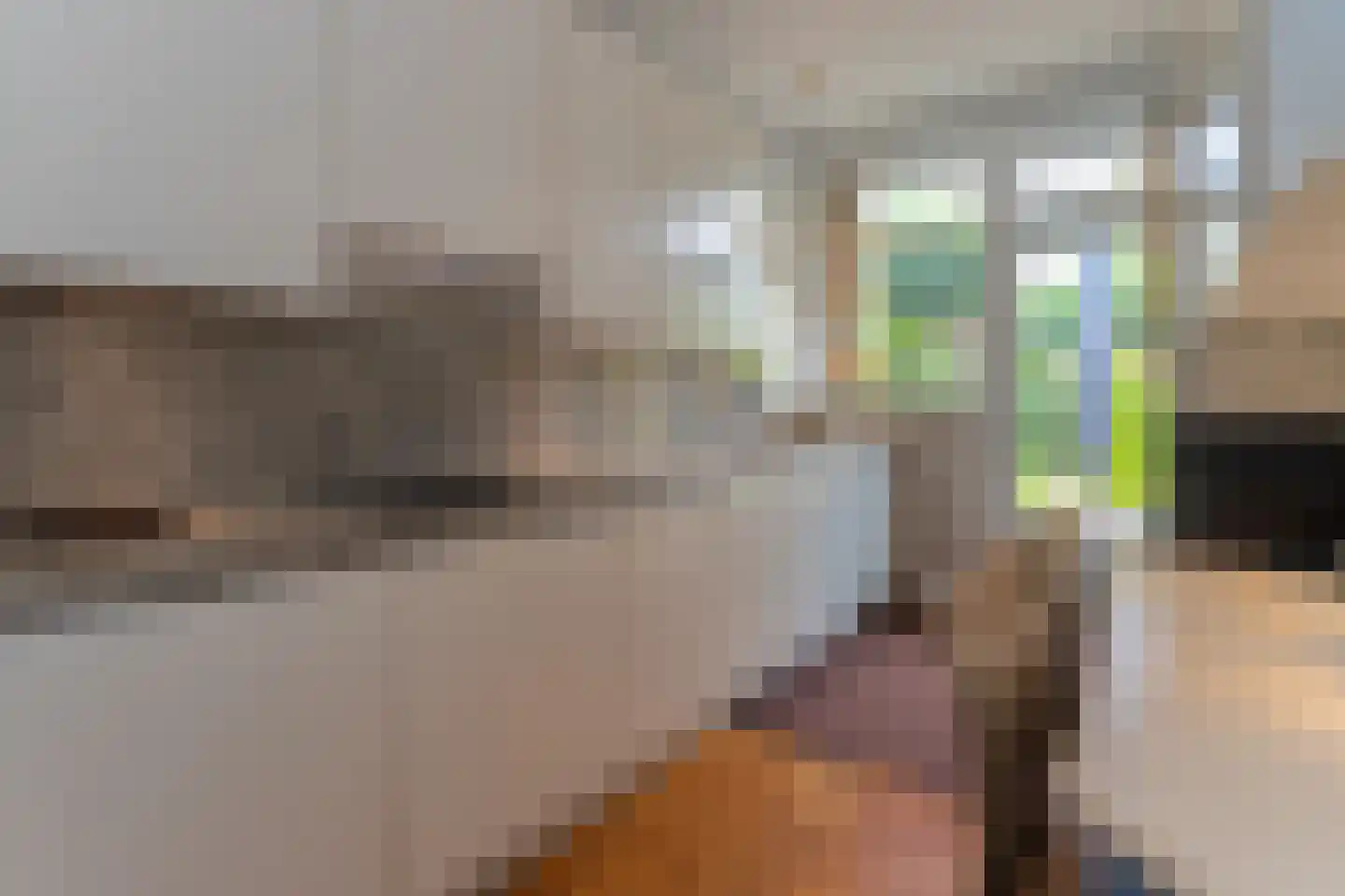 Hector Treubstraat 19 Bussum thumbnail 15