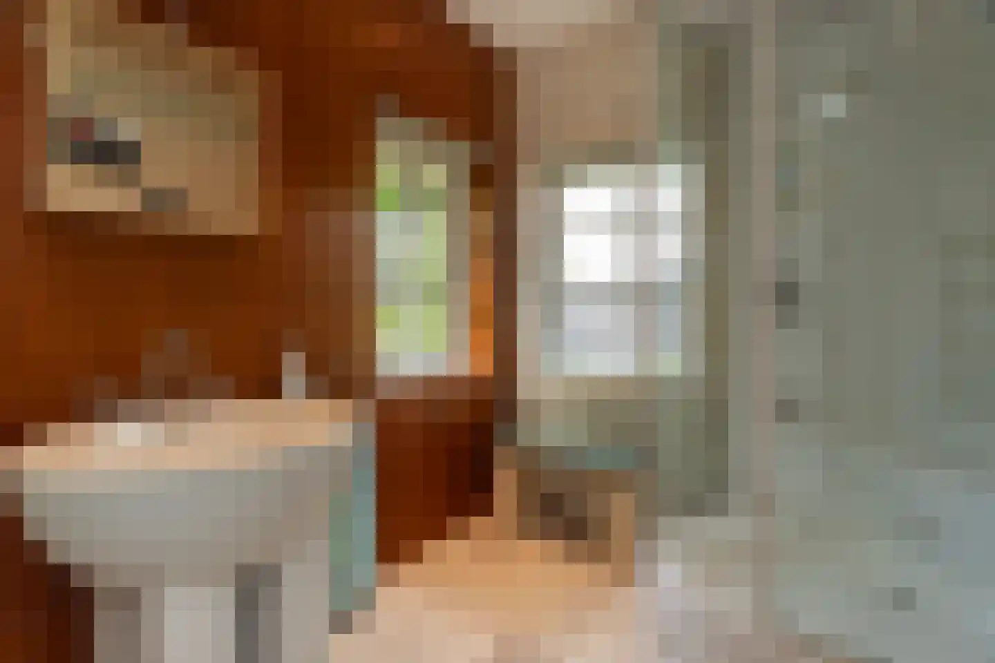 Hector Treubstraat 19 Bussum thumbnail 22