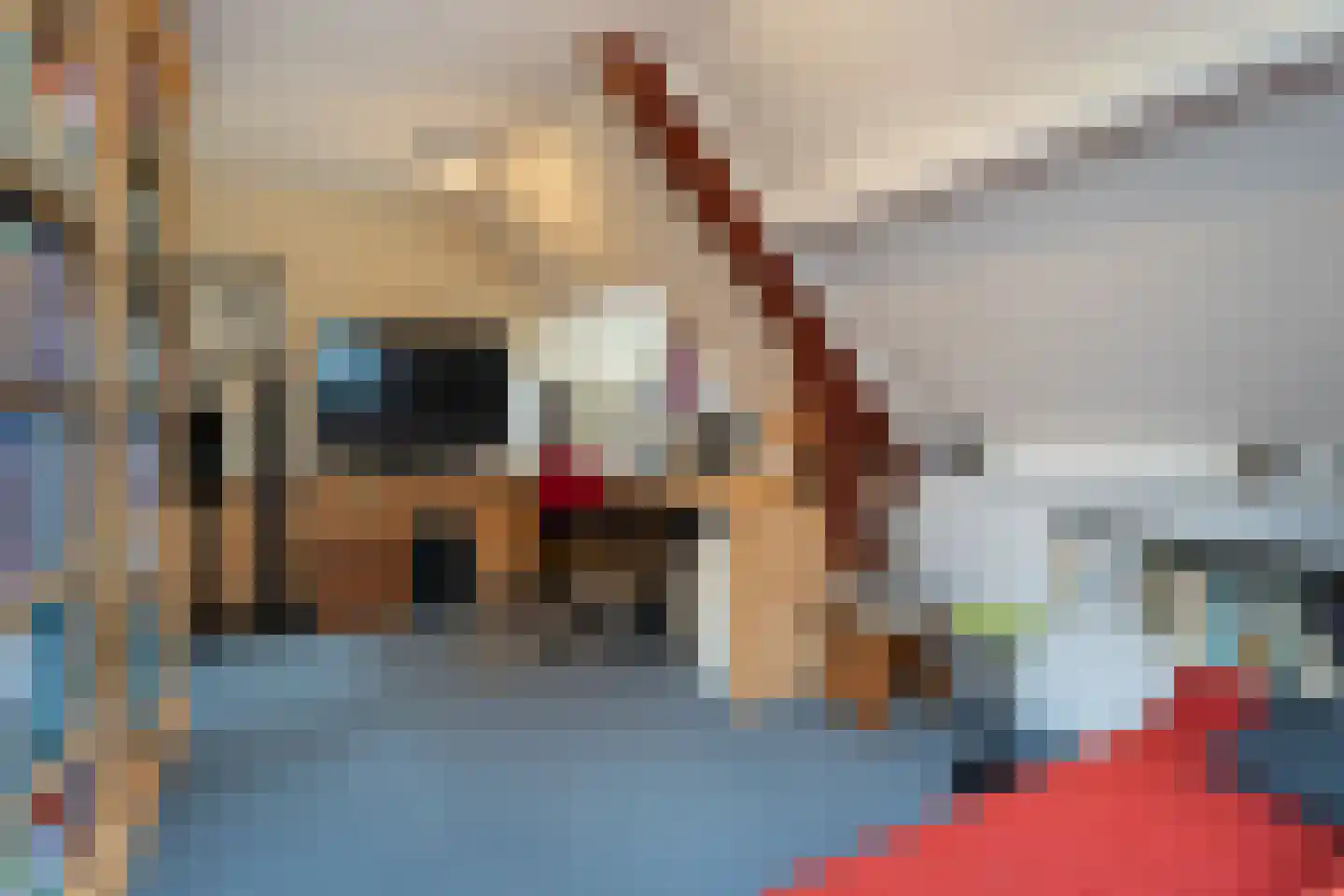 Hector Treubstraat 19 Bussum thumbnail 25