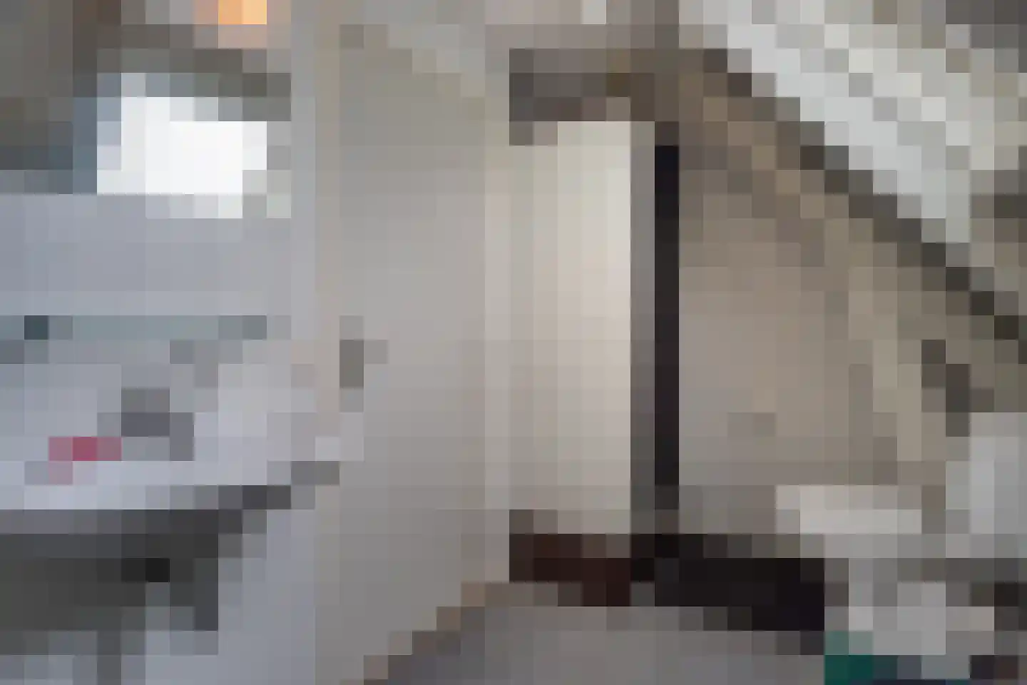 Hector Treubstraat 19 Bussum thumbnail 27