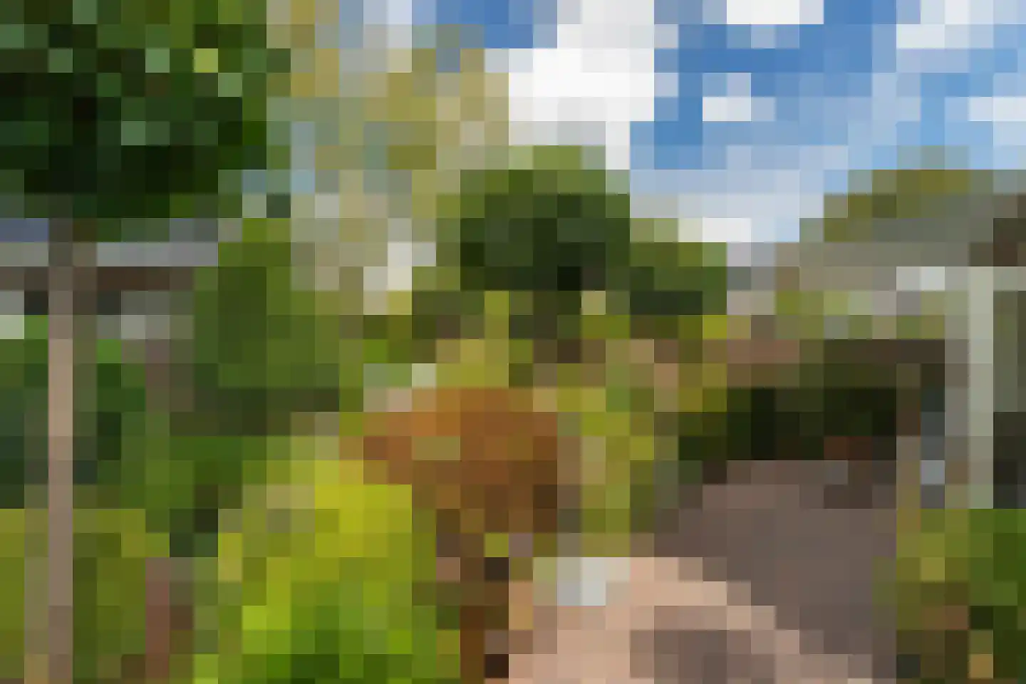 Hector Treubstraat 19 Bussum thumbnail 34