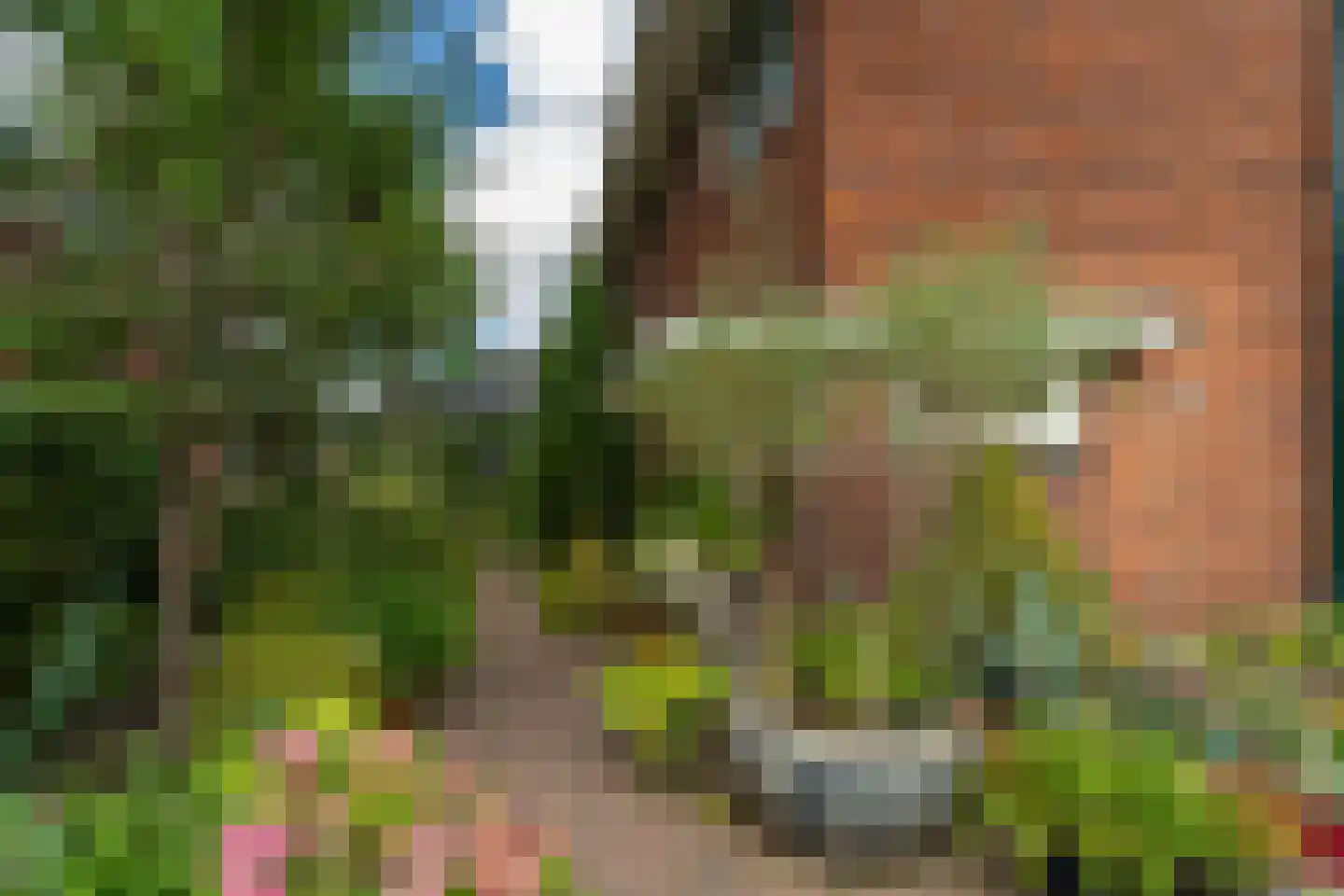 Hector Treubstraat 19 Bussum thumbnail 37