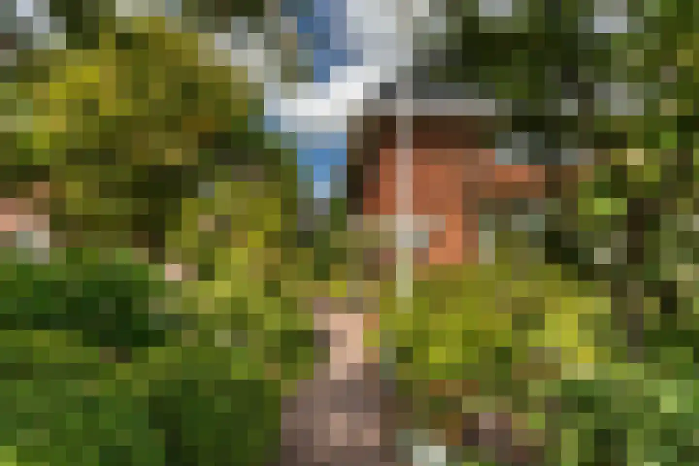 Hector Treubstraat 19 Bussum thumbnail 38