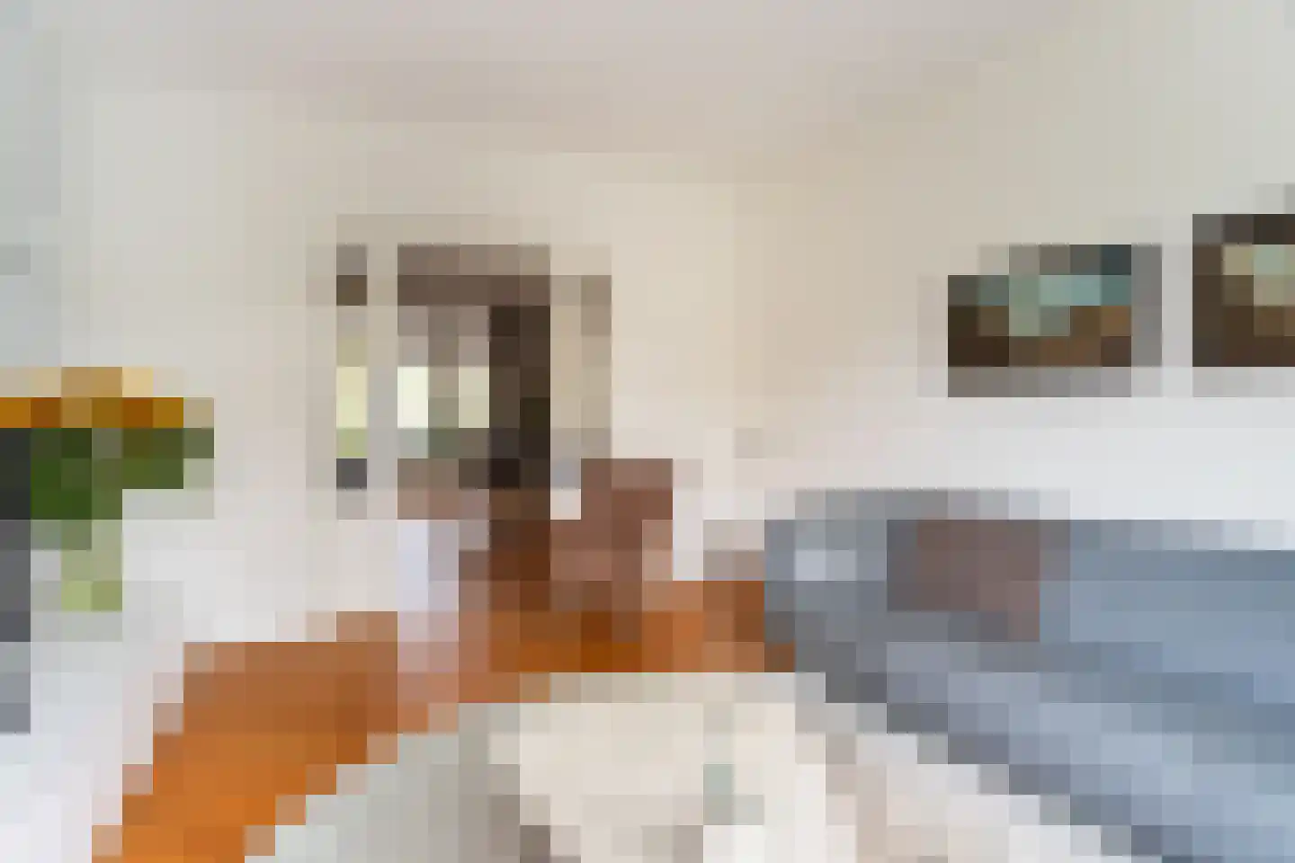 Hector Treubstraat 19 Bussum thumbnail 8