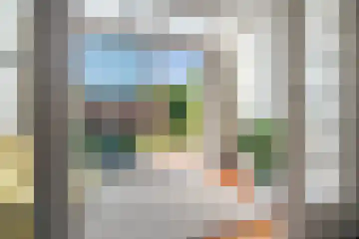 Hector Treubstraat 21 A Bussum thumbnail 12