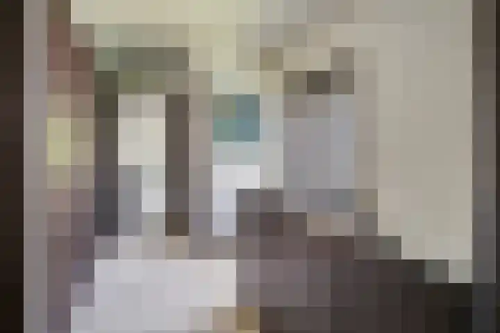 Hector Treubstraat 21 A Bussum thumbnail 18