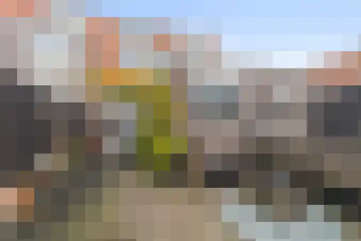 Hector Treubstraat 28 Den Helder thumbnail 18