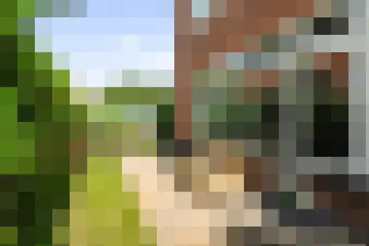 Hector Treubstraat 45 Den Helder thumbnail 16