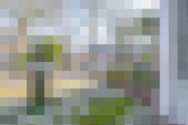 Hector Treubstraat 72 Den Helder thumbnail 16