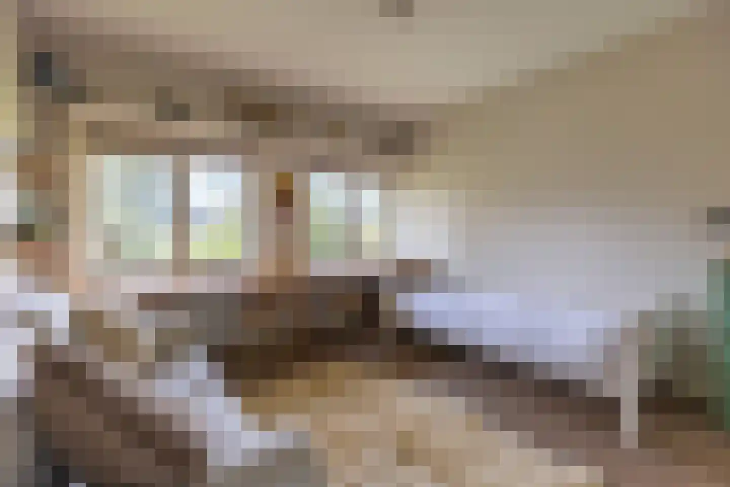 Hector Treubstraat 8 Bussum thumbnail 26