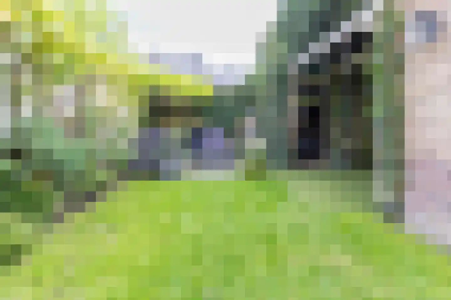 Hector Treubstraat 8 Bussum thumbnail 46
