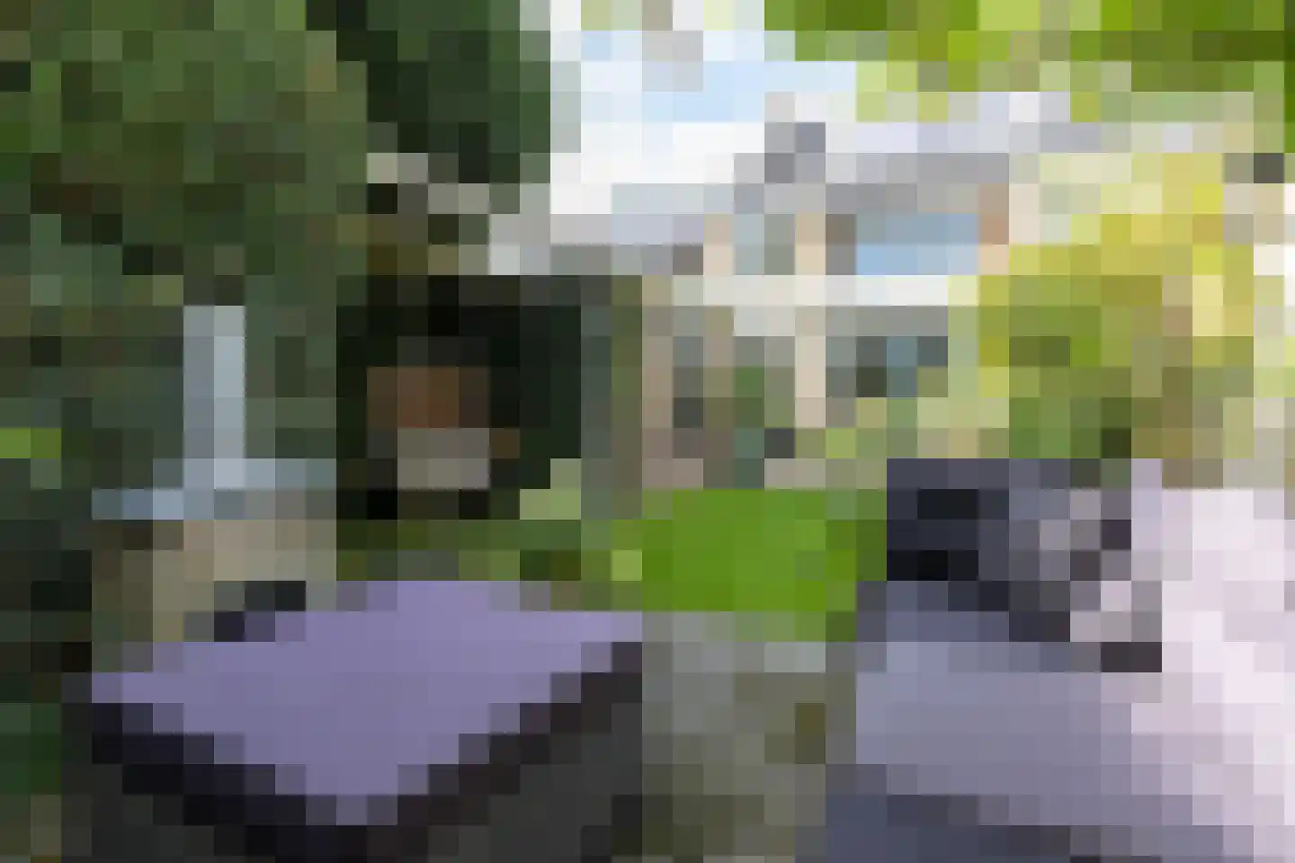 Hector Treubstraat 8 Bussum thumbnail 48