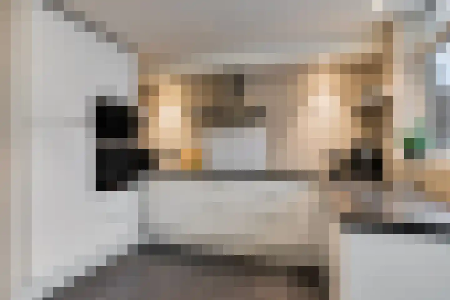 Hectorlaan 18 Eindhoven thumbnail 10