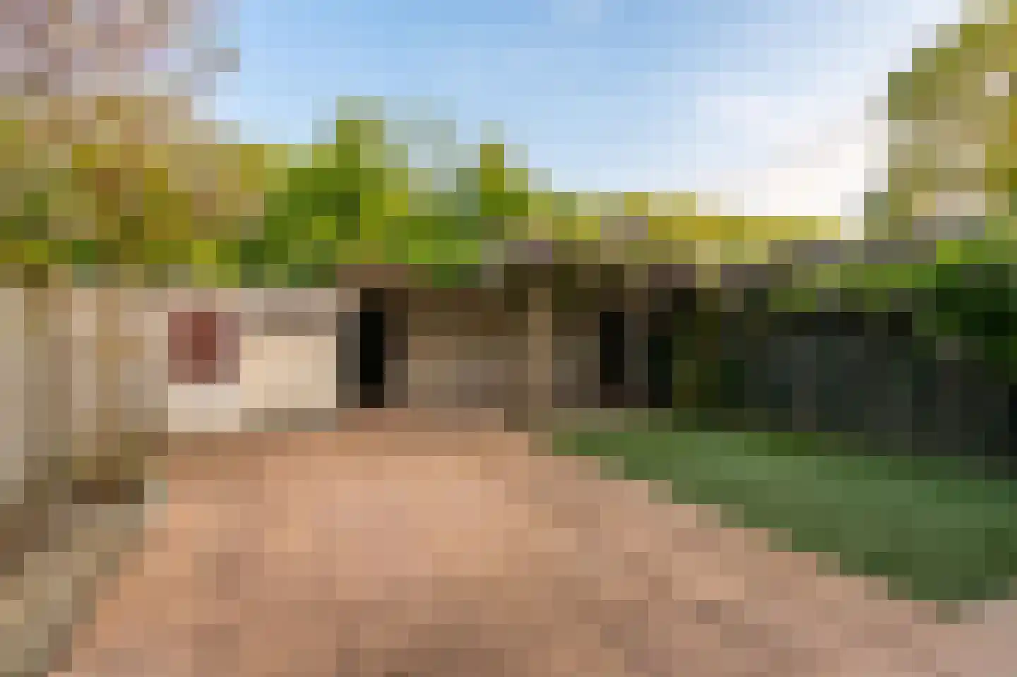 Hectorlaan 18 Eindhoven thumbnail 24