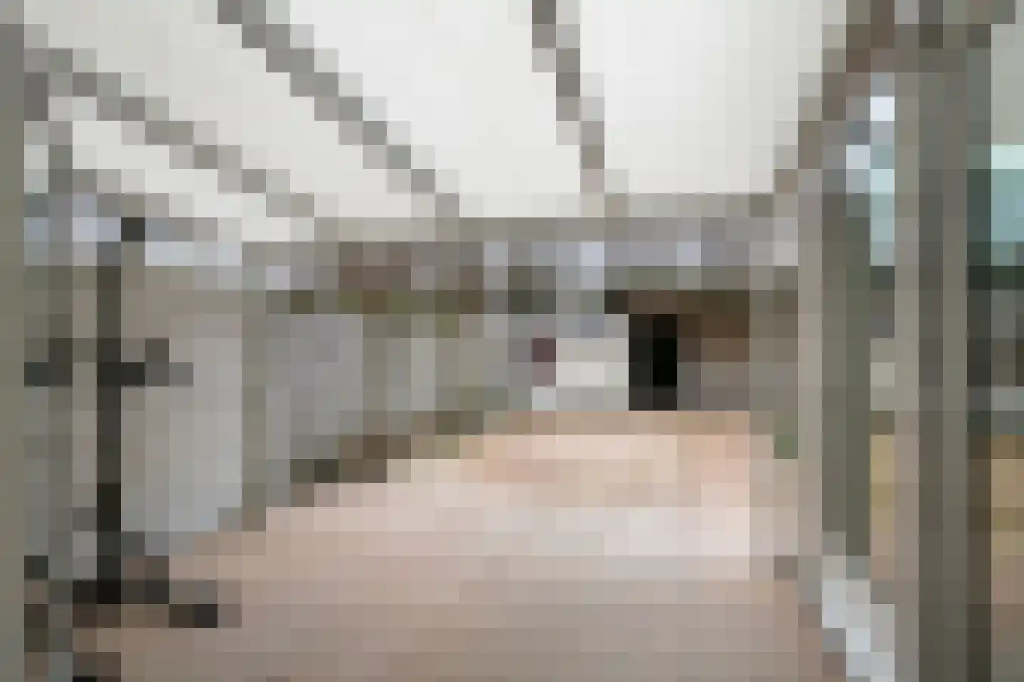 Hectorlaan 18 Eindhoven thumbnail 25
