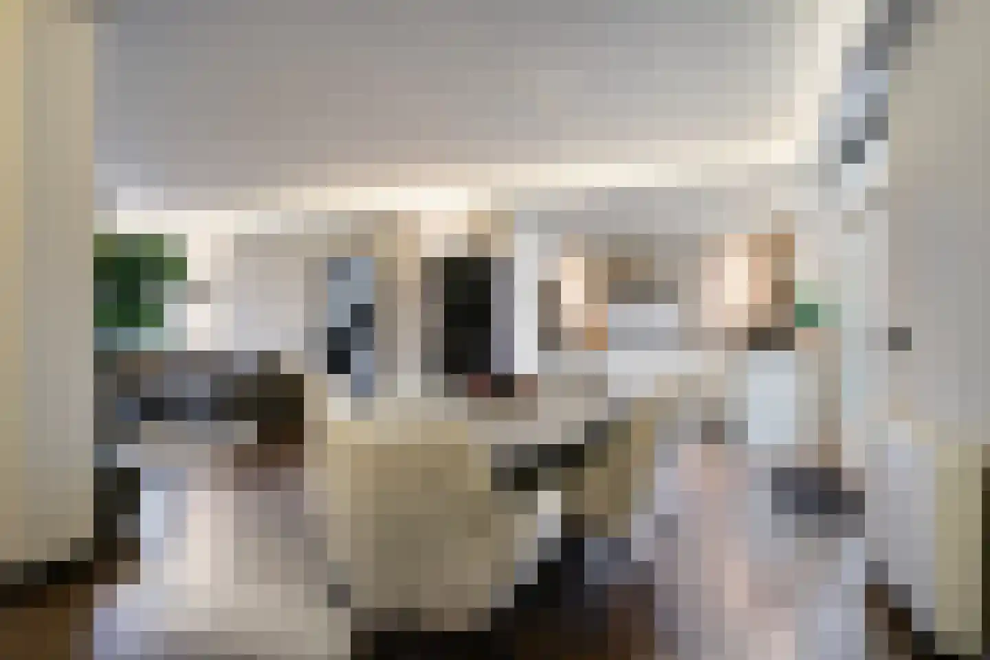 Hectorlaan 18 Eindhoven thumbnail 8