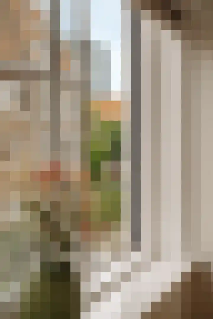 Hectorstraat 10 2 Amsterdam thumbnail 7