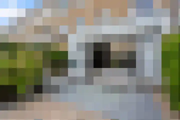 Hectorstraat 10 Rotterdam thumbnail 19